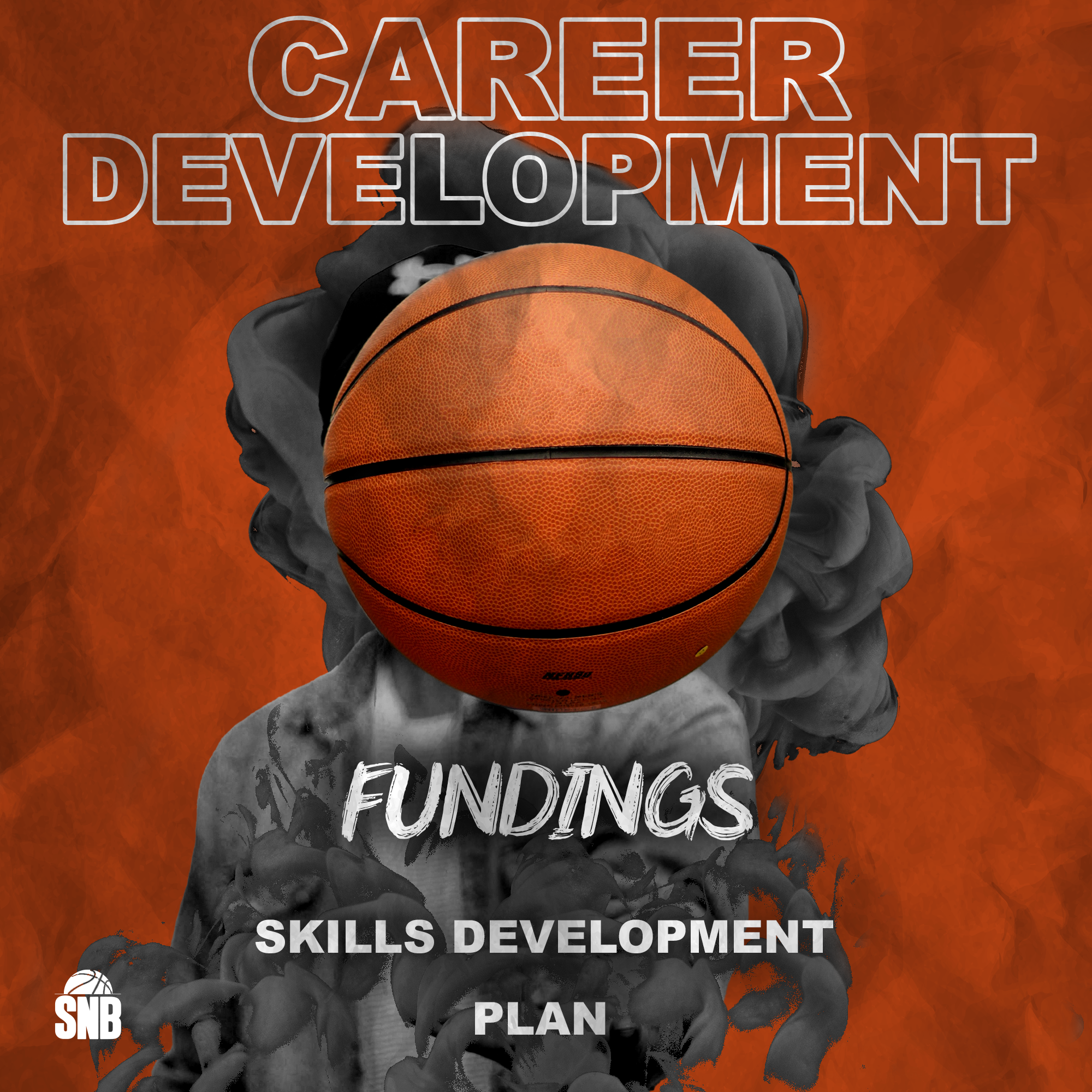 Skills development plan
